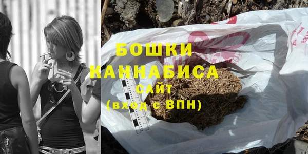 ПСИЛОЦИБИНОВЫЕ ГРИБЫ Осинники