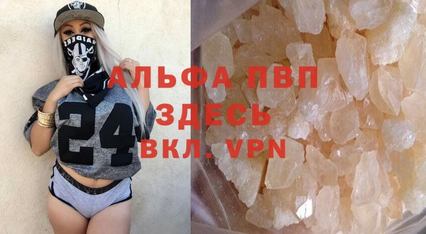 ГАЛЛЮЦИНОГЕННЫЕ ГРИБЫ Пестово