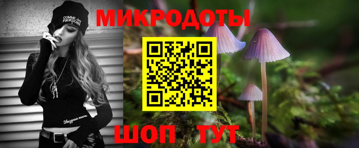 Псилоцибиновые грибы MAGIC MUSHROOMS  Вход с VPN  Биробиджан 